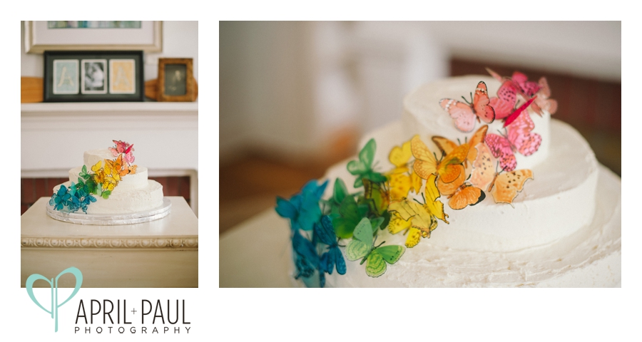 Rainbow Butterfly Wedding Cake at The Cedars in Jackson, MS