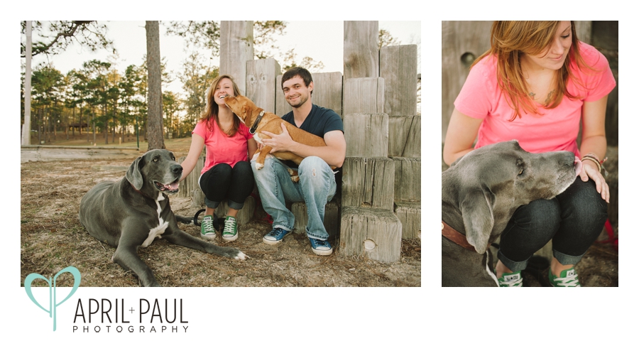 Engagement Shoot with a Great Dane Dog