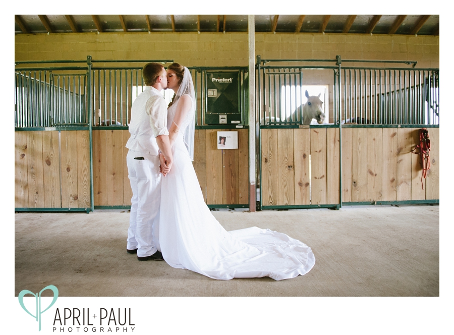 Bride and Groom kissing in a barn with horse in Hattiesburg, MS Wedding