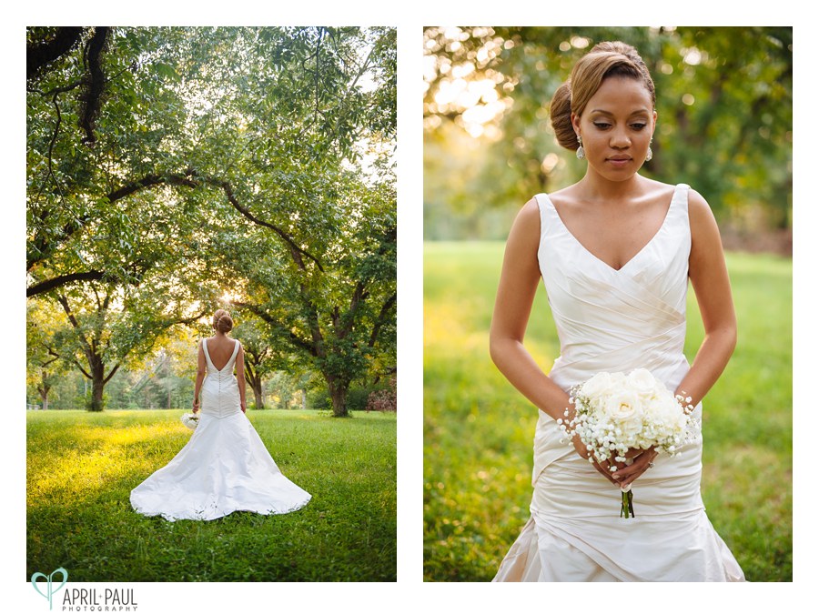 Bridal Portraits in Tree Grove in Mississippi