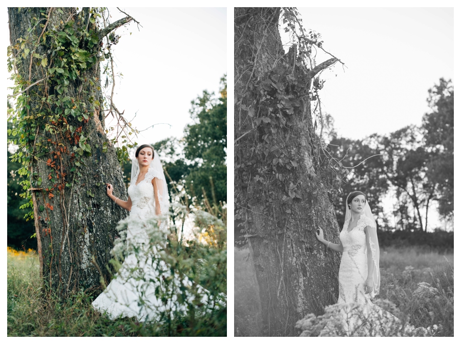 Elegant Souther Bridal Portraits in a Field in Monroe, LA